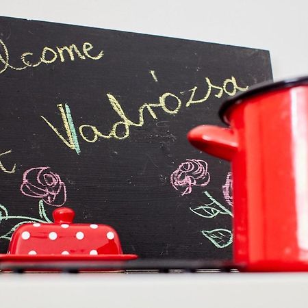 Vadrozsa Vendeghaz Racalmas Guest House Exterior photo