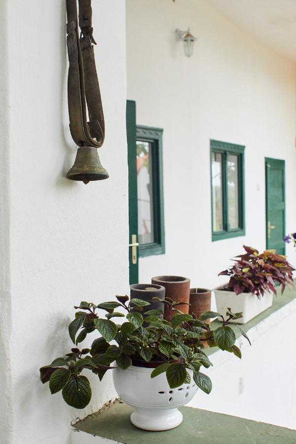 Vadrozsa Vendeghaz Racalmas Guest House Exterior photo